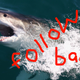 Illustration for article titled Now Sharks Can Tweet at You to Warn You Theyre Coming